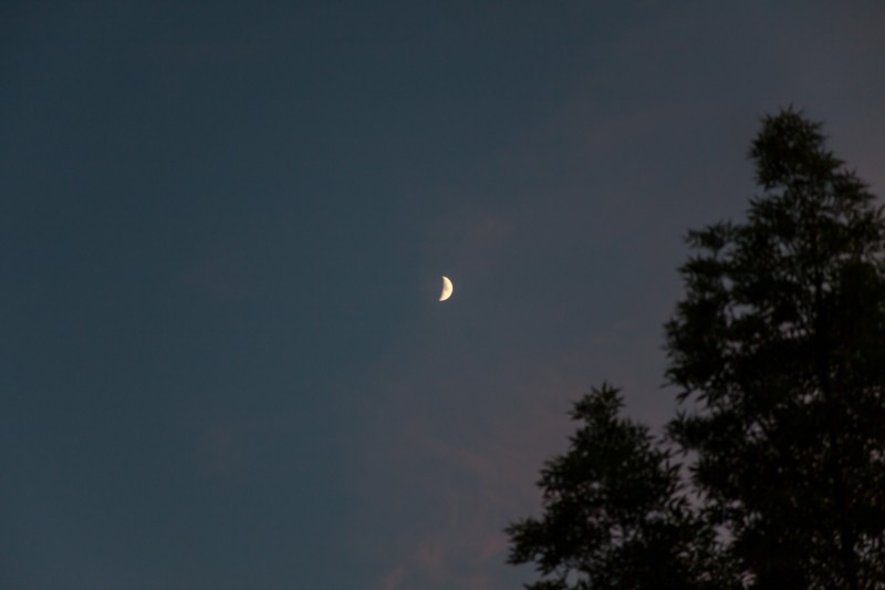 Mond_27.05.2012_002.jpg