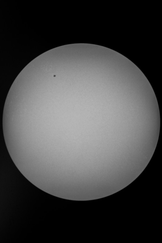 Sofi_20.03.2015_001.jpg