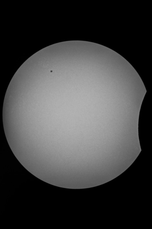 Sofi_20.03.2015_002.jpg