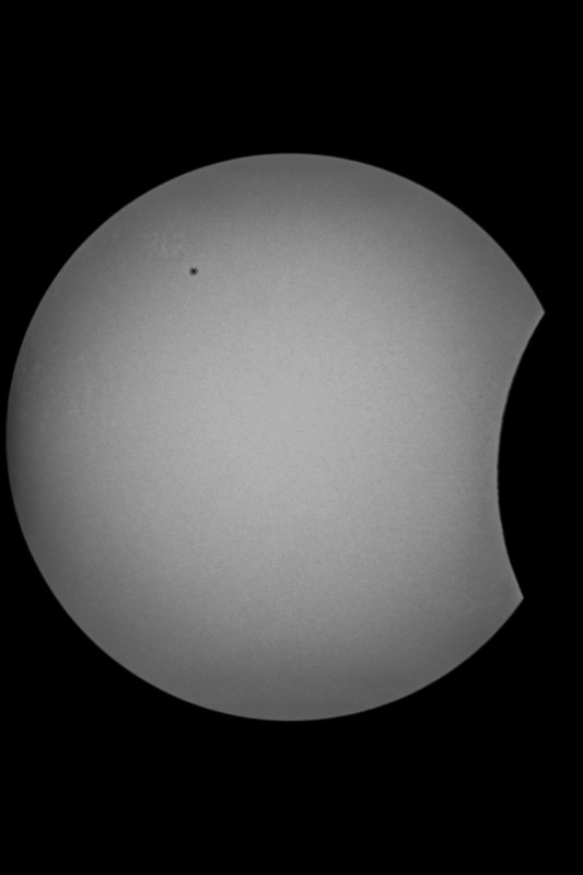 Sofi_20.03.2015_004.jpg
