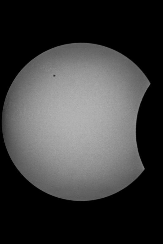 Sofi_20.03.2015_005.jpg