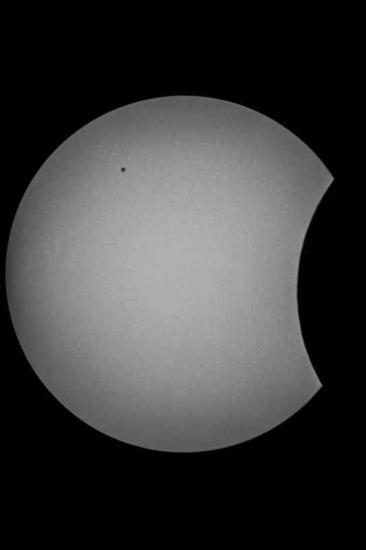 Sofi_20.03.2015_006.jpg