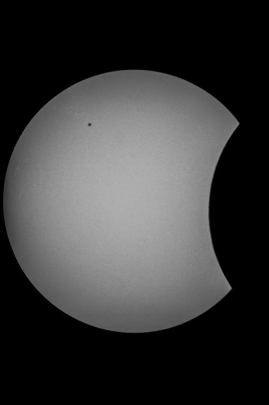 Sofi_20.03.2015_007.jpg