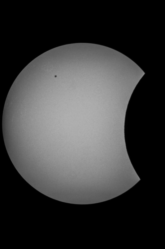 Sofi_20.03.2015_008.jpg