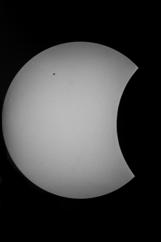 Sofi_20.03.2015_009.jpg