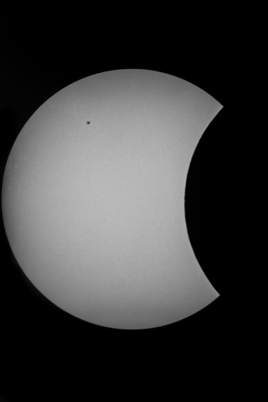 Sofi_20.03.2015_010.jpg