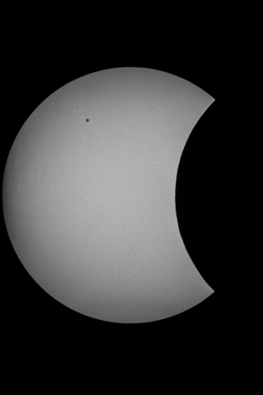 Sofi_20.03.2015_011.jpg