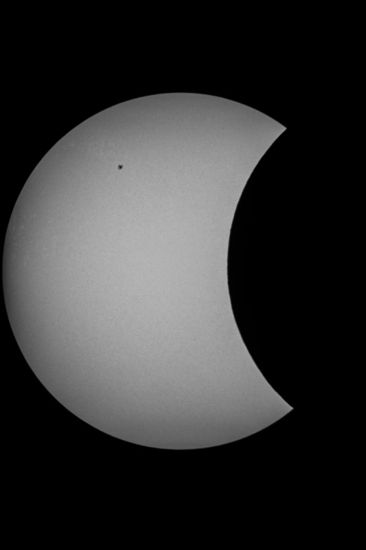 Sofi_20.03.2015_012.jpg
