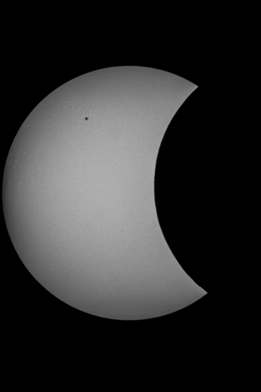 Sofi_20.03.2015_013.jpg