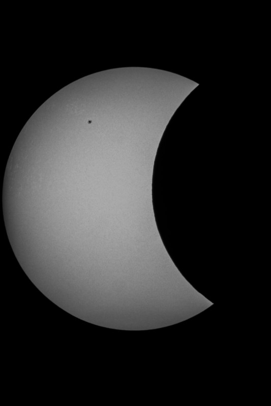 Sofi_20.03.2015_014.jpg