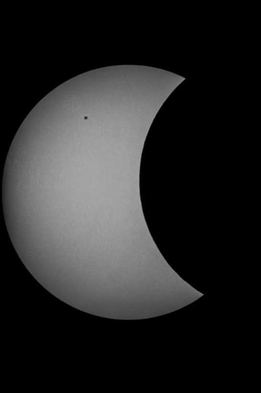 Sofi_20.03.2015_015.jpg