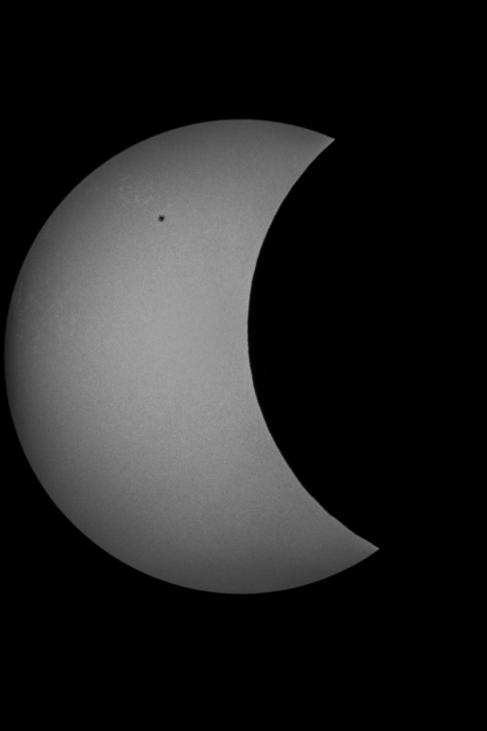 Sofi_20.03.2015_016.jpg