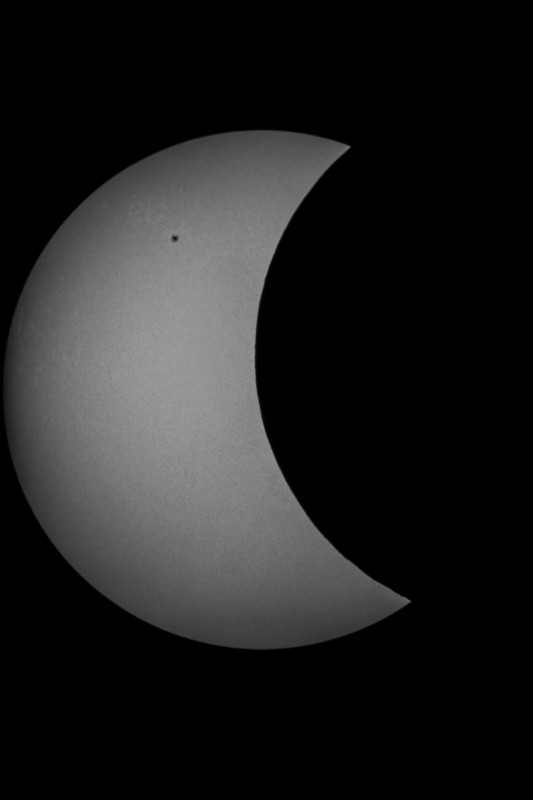 Sofi_20.03.2015_017.jpg