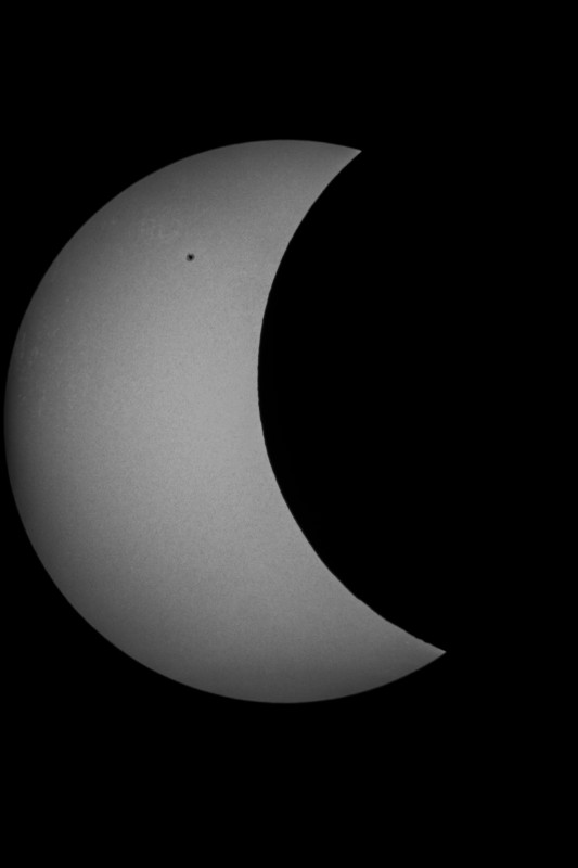 Sofi_20.03.2015_018.jpg