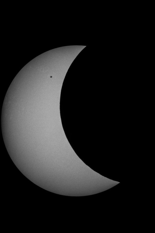 Sofi_20.03.2015_020.jpg
