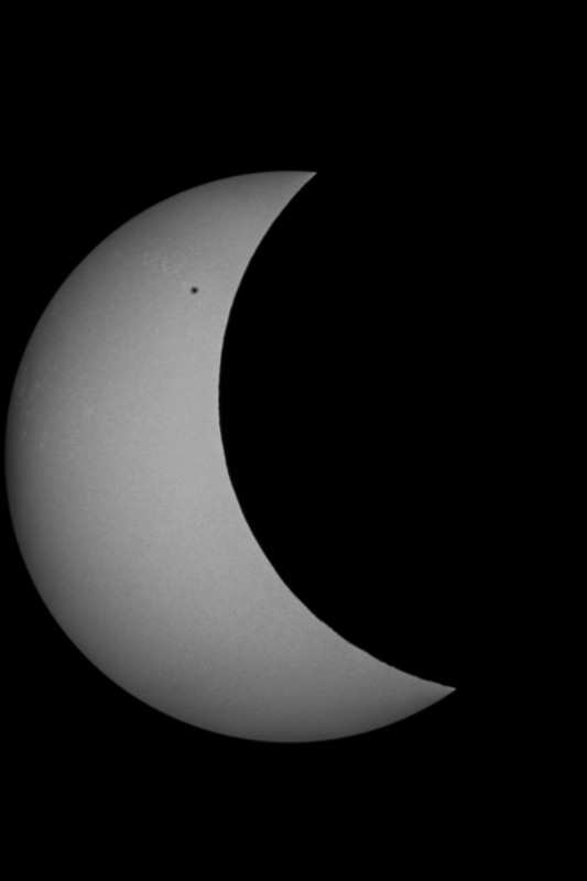 Sofi_20.03.2015_021.jpg