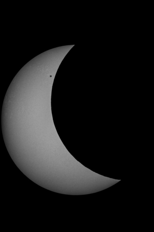 Sofi_20.03.2015_022.jpg