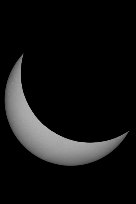 Sofi_20.03.2015_030.jpg