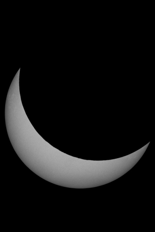 Sofi_20.03.2015_031.jpg