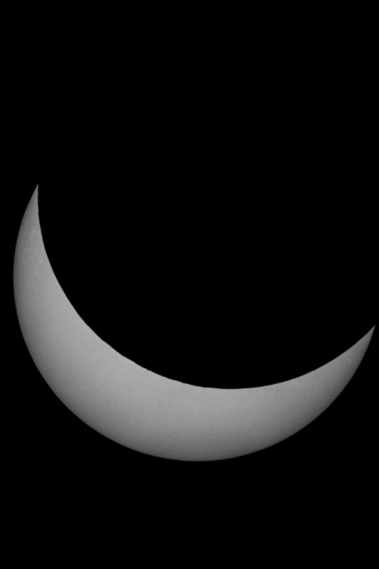 Sofi_20.03.2015_032.jpg