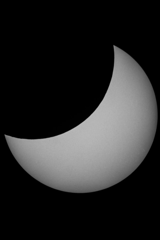 Sofi_20.03.2015_046.jpg