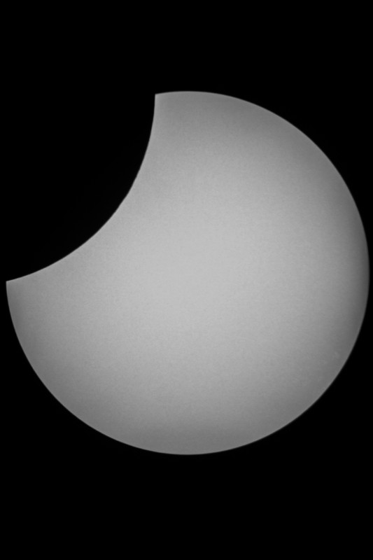 Sofi_20.03.2015_058.jpg
