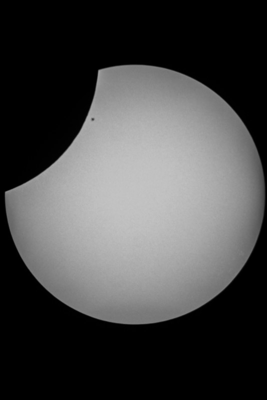 Sofi_20.03.2015_060.jpg
