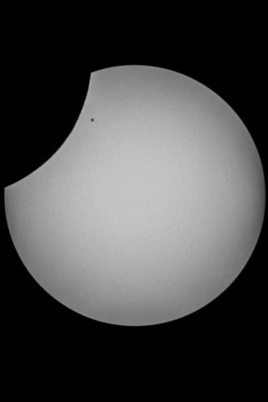 Sofi_20.03.2015_061.jpg