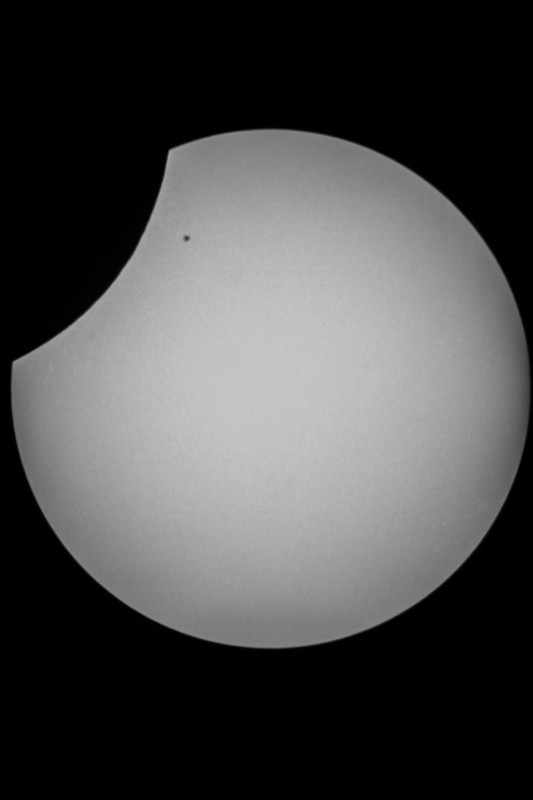 Sofi_20.03.2015_062.jpg