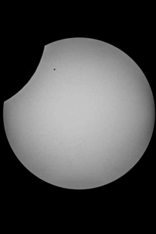Sofi_20.03.2015_063.jpg