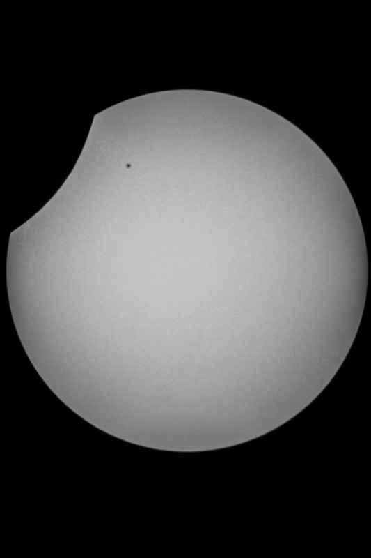 Sofi_20.03.2015_064.jpg