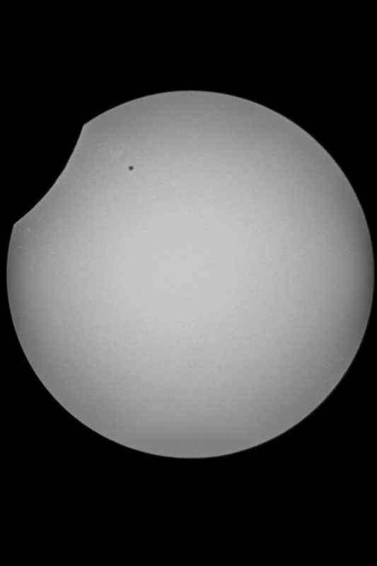 Sofi_20.03.2015_065.jpg