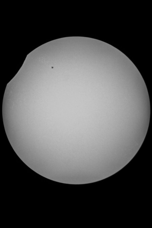 Sofi_20.03.2015_066.jpg