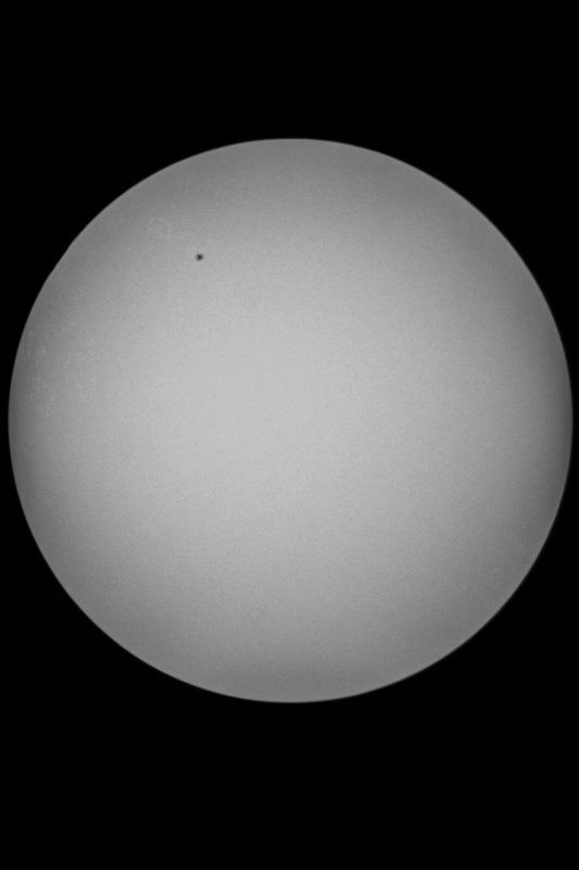 Sofi_20.03.2015_067.jpg