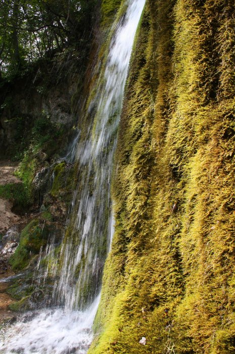 Dreimuehlen_Wasserfall_Eifel_16.09.2011_015.JPG