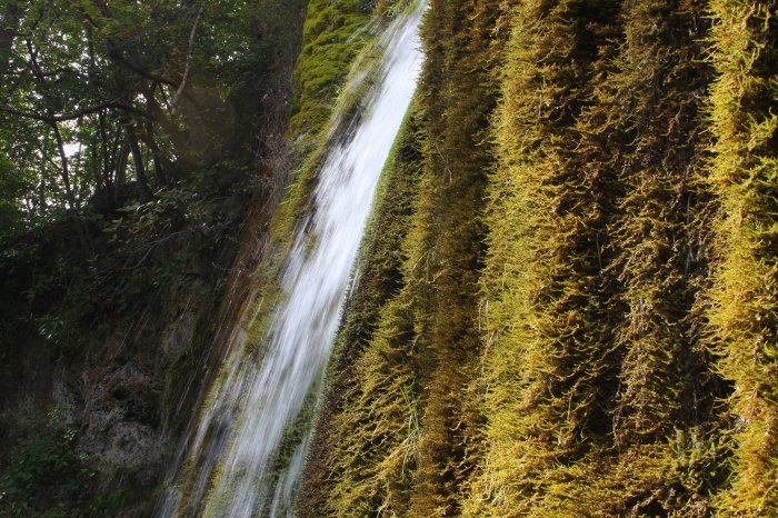 Dreimuehlen_Wasserfall_Eifel_16.09.2011_017.JPG
