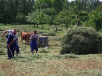 Fraenkisches Freilandmuseum Bad Windsheim 2011 139