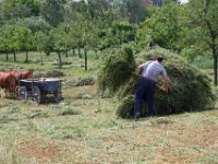 Fraenkisches Freilandmuseum Bad Windsheim 2011 140