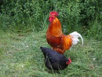 Fraenkisches Freilandmuseum Bad Windsheim 2011 144