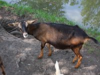 Fraenkisches Freilandmuseum Bad Windsheim 2011 154
