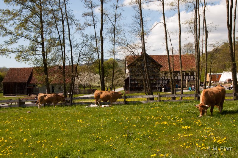 Freilandmuseum_Fladungen_05.05.2016_045.jpg