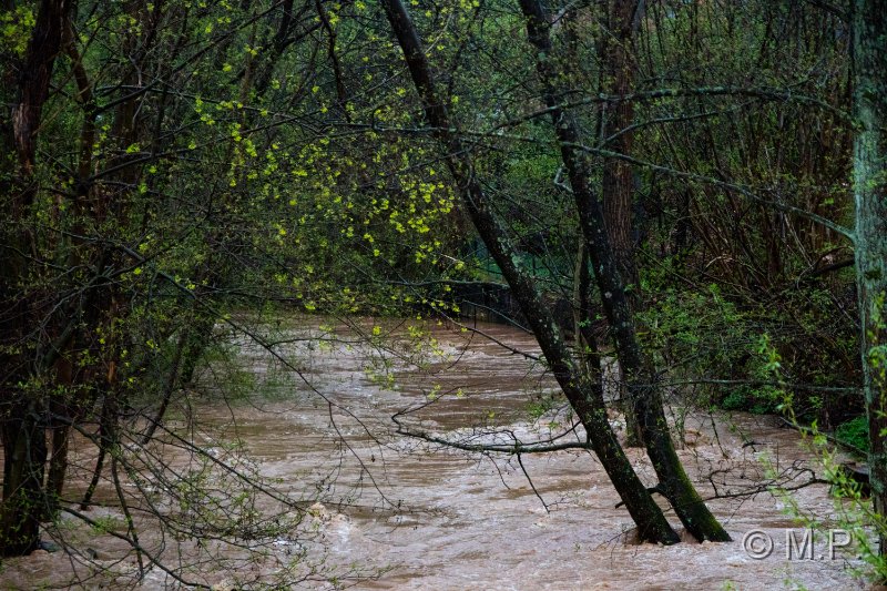 Hochwasser_13.04.2018_003.JPG