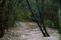 Hochwasser_13.04.2018_003