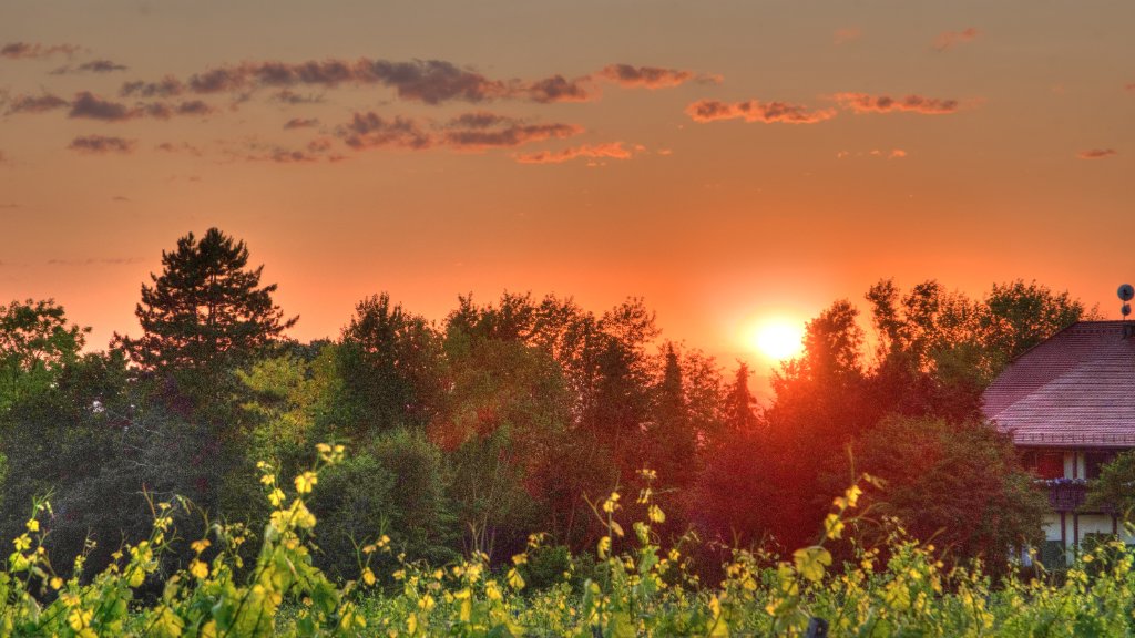 Sonnenuntergang_Hoerstein_23062025-1-2.jpg