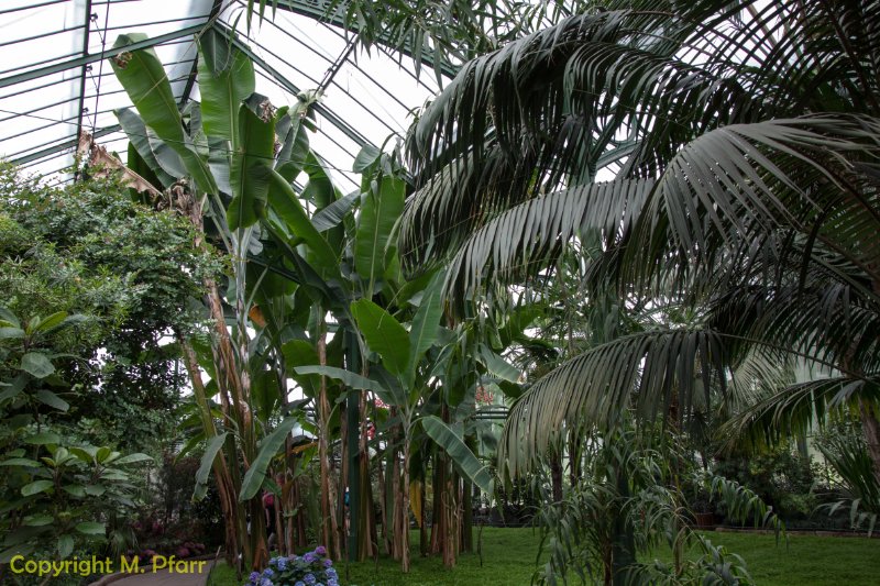 Wilhelma_03.06.2014_010.jpg