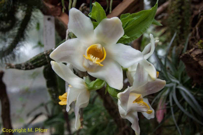 Wilhelma_03.06.2014_027.jpg