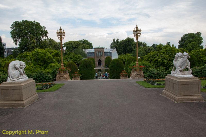 Wilhelma_03.06.2014_065.jpg