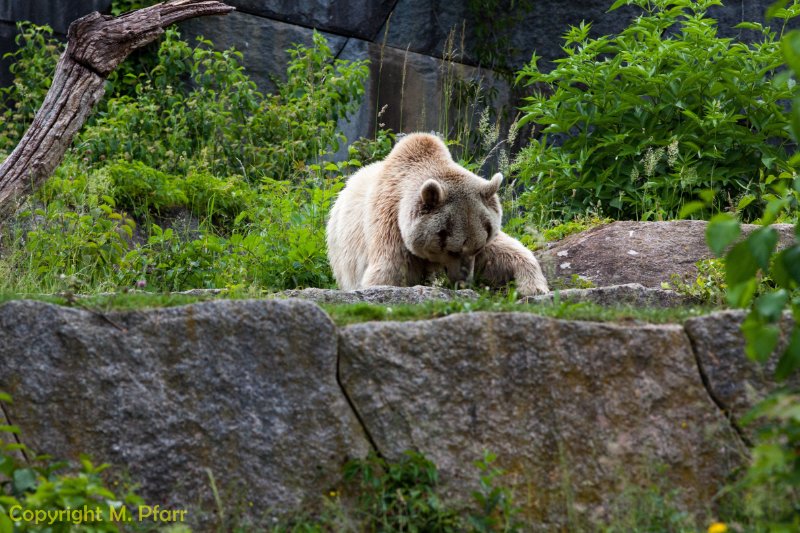 Wilhelma_03.06.2014_115.jpg