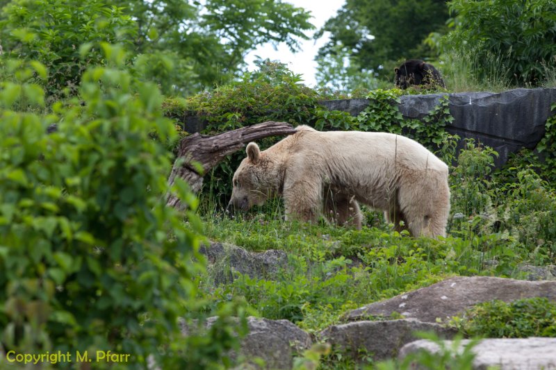 Wilhelma_03.06.2014_116.jpg