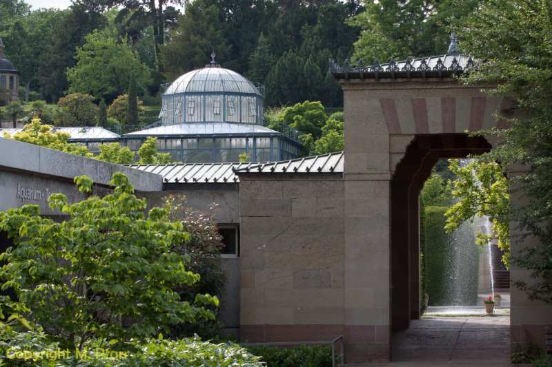 Wilhelma_03.06.2014_151.jpg